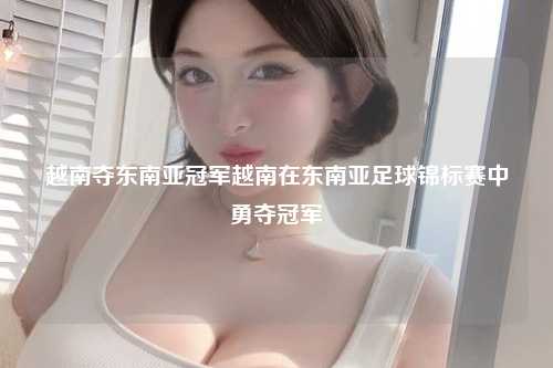 越南夺东南亚冠军越南在东南亚足球锦标赛中勇夺冠军