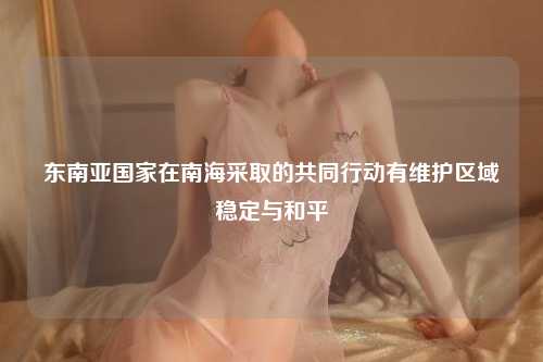 东南亚国家在南海采取的共同行动有维护区域稳定与和平