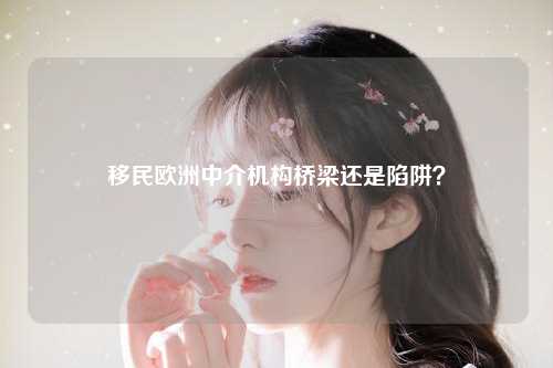 移民欧洲中介机构桥梁还是陷阱？