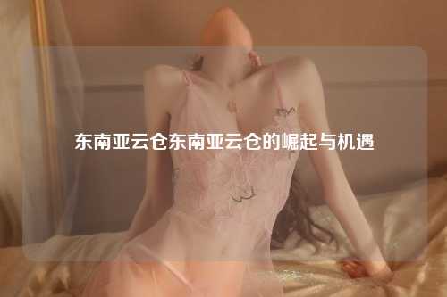 东南亚云仓东南亚云仓的崛起与机遇