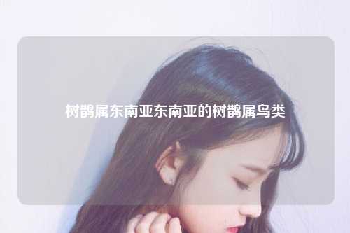 树鹊属东南亚东南亚的树鹊属鸟类
