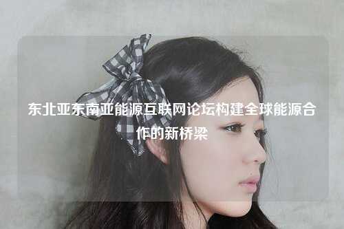 东北亚东南亚能源互联网论坛构建全球能源合作的新桥梁
