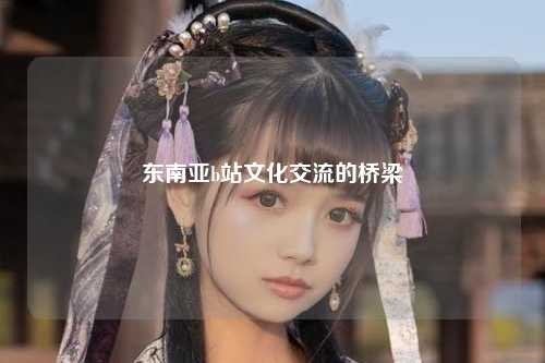东南亚b站文化交流的桥梁